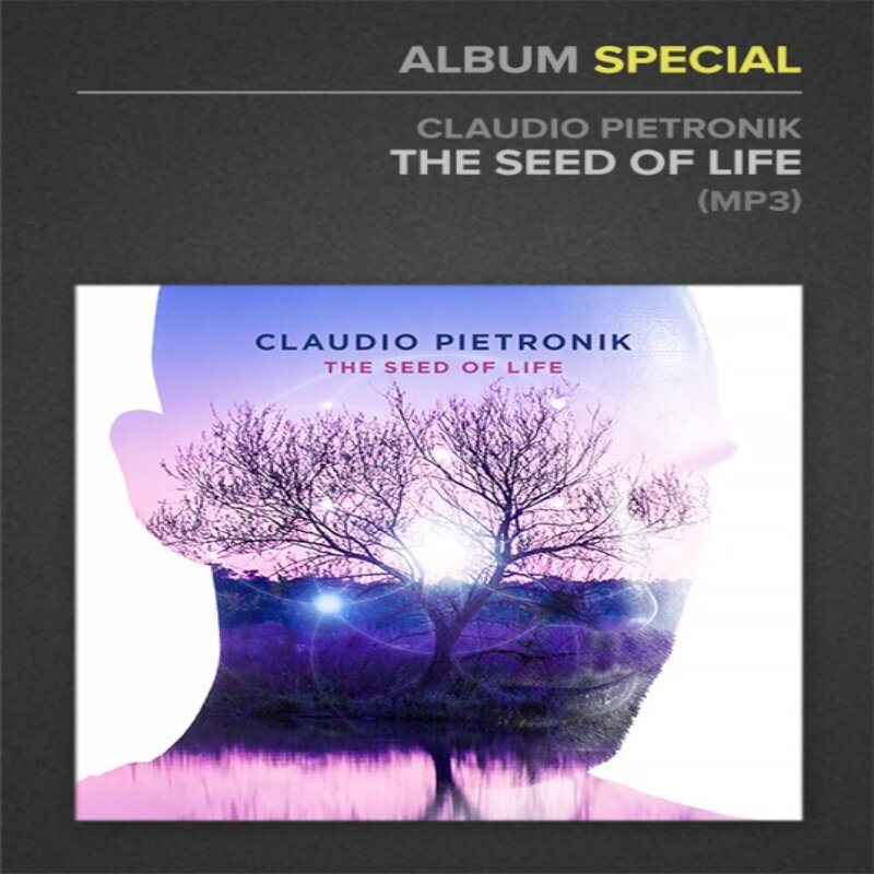 The Seed Of Life Claudio Pietronik 3首JTC吉他独奏教程+音视谱