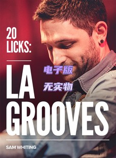 Sam 音视谱 Grooves JTC吉他律动乐句教程 Licks Whiting