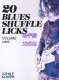 Klaver Blues Shuffle 布鲁斯吉他乐句教程 John 音伴 Licks