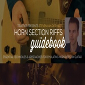 Horn Der Section Guidebook TrueFire Van Riffs Steven Nat摇滚