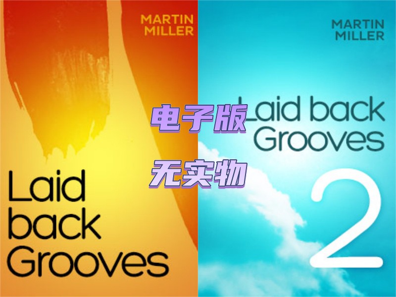 Laid Back Grooves Martin Miller 2套21首懒散律动吉他曲谱合集-封面