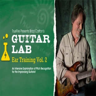 Ear Training Vol.2 TrueFire Carlton Lab Brad 吉他练耳 Guitar