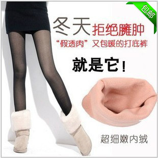 包邮耐尔正品秋冬假透肉加绒200D