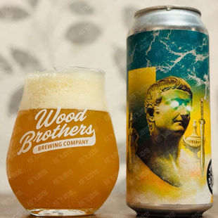 1#满2罐包邮顺流而下加拿大进口精酿啤酒罐装473ML美式IPA