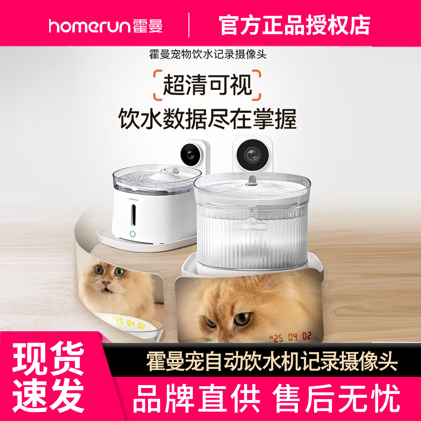 霍曼宠物猫咪狗狗自动饮水机记录摄像头5G可视AI远程监控可插TF卡