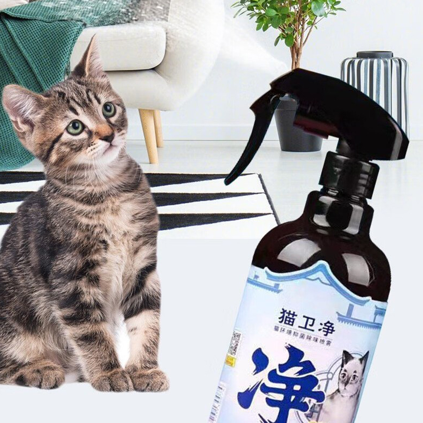 假一罚十除臭贝克里里预防猫癣图片