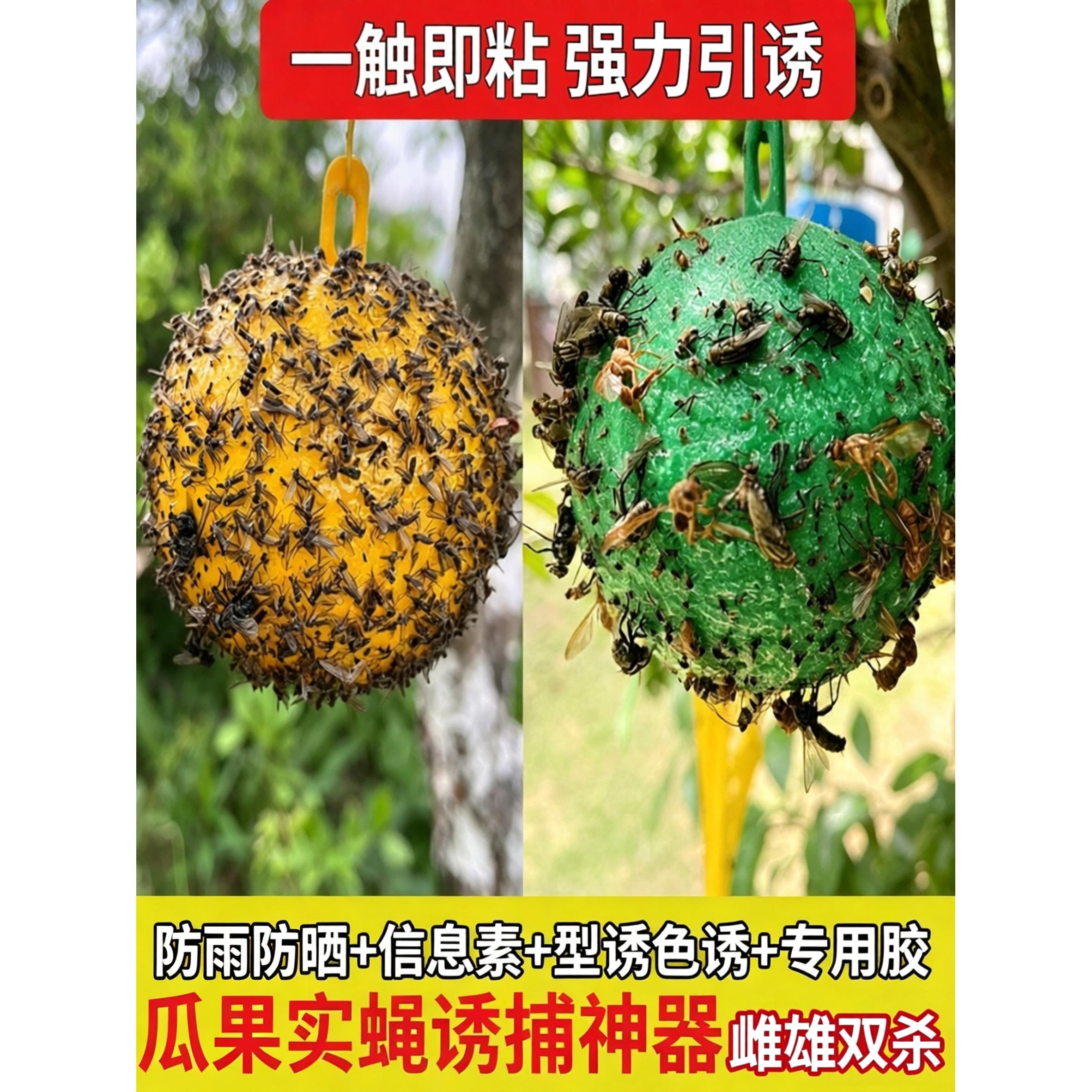 德国粘虫球杀蝇饵剂灭苍蝇贴自带诱饵强力粘蝇纸板捕捉小飞虫神器