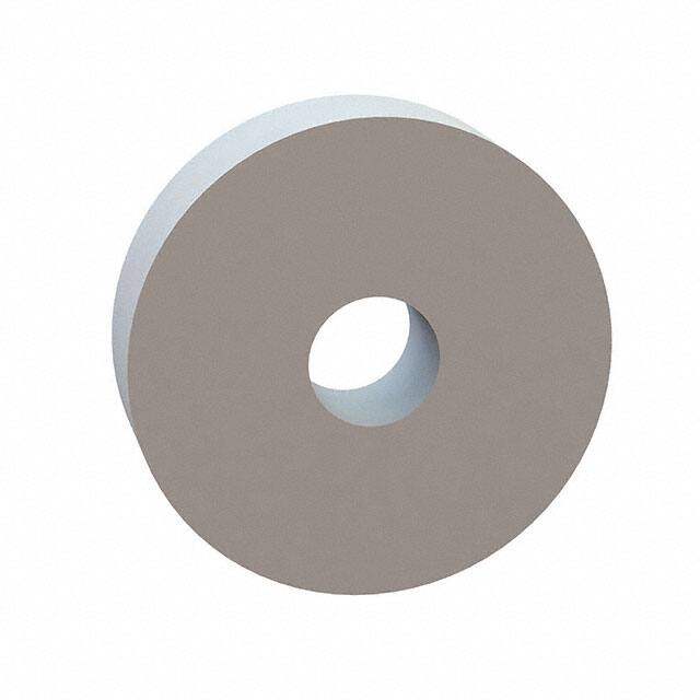 17w07495【flat washer, .203 id, .748 od, .】