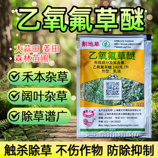 惠光 割地草 乙氧氟草醚大蒜田姜田一年生杂草农药封闭选择除草剂