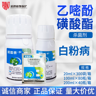阿雷泰 200ml 25%乙嘧酚磺酸酯黄瓜白粉病微乳剂农药杀菌剂20ml