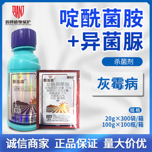 标正 普洛森 35%啶酰菌胺·异菌脲葡萄灰霉病农药杀菌剂正品农资