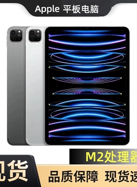 Apple/苹果 11 英寸 iPad Pro (第四代)平板电脑2022款顺丰包邮