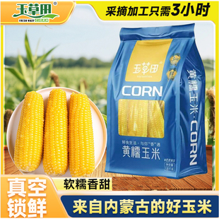 玉草田黄糯玉米1800g袋装内蒙古玉米真空包装锁鲜鲜玉米棒早餐