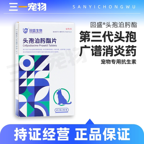 回盛生物宠物消炎药咳嗽感冒