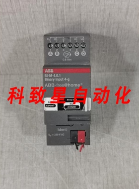 工业配件BI-M-4.0.1 BNARY 输入 4-G 2CDG510004R0011