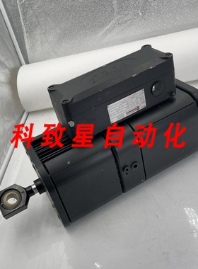 工业配件PINTSCH BUBENZER BL 80-6S/8-00430000.00184 2000N 0.6