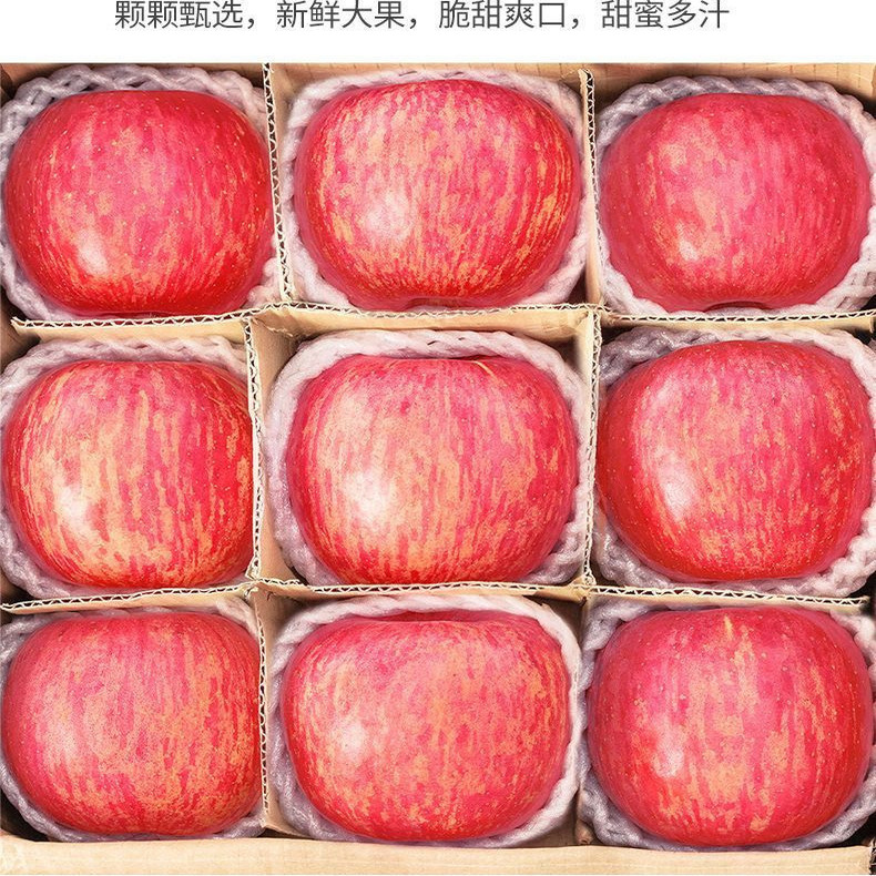 陕西红富士脆甜不打蜡苹果