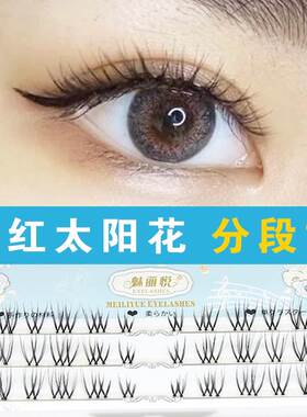 魅丽悦分段式透明鱼线梗假睫毛女 已剪好自然裸妆 网红太阳花FD16