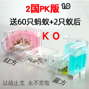 2国PK版 蚂蚁城堡家园农场宫殿2窝产卵蚁后活物观察 蚂蚁工坊宠物