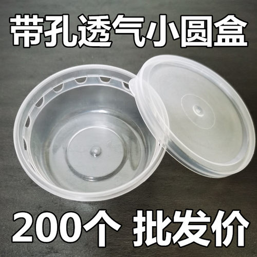 带孔小乌龟盒有孔透气塑料盒子加厚单独装圆形彩龟活体运输盒便宜