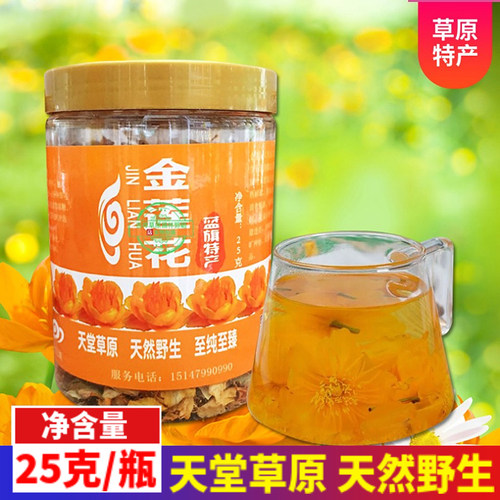 野生金莲花茶25克正蓝旗金莲花瓶