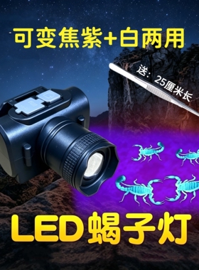 LED蝎子灯充电式可变焦紫白两用便携户外照明紫光头灯照蝎子豆虫