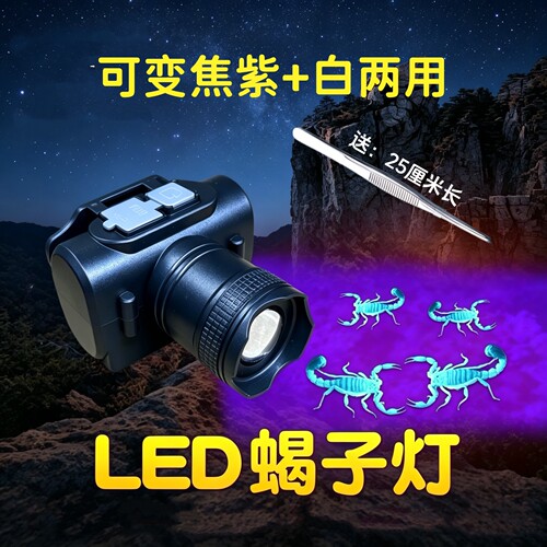 充电紫白两用变焦蝎子头灯