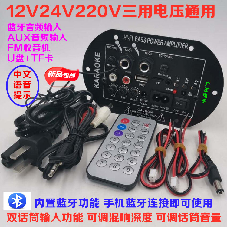 双话筒大功率蓝牙功放板12V24V220V低音炮音箱主板车载通用数字 影音电器 功放 原图主图