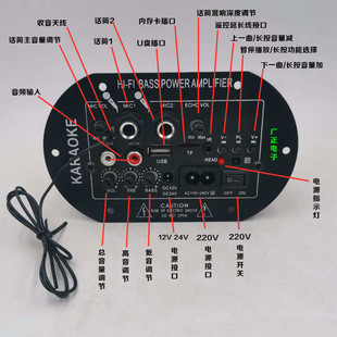 双话筒大功率蓝牙功放板12V24V220V低音炮音箱主板车载通用数字