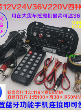 低音炮功放板 车载内置蓝牙MP3FM收音220V12V24V36V炮芯适用5-8寸