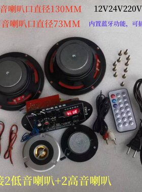 抖音 DIY水桶音响音箱自制改装配件无线蓝牙功放板高音低音炮喇叭