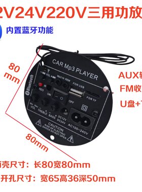 12V24V220V用音响功放板大功率