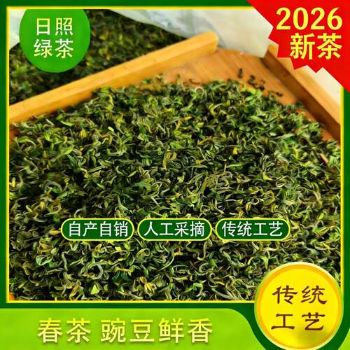 山东2026新茶日照绿茶一级浓香耐泡型春茶叶高山云雾炒青散装750g