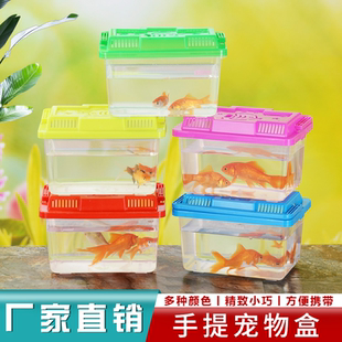 手提塑料龟缸厂家直销地摊推广透明乌龟缸爬虫宠物饲养盒小乌龟盒