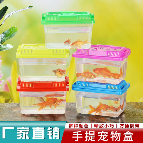 手提塑料龟缸厂家直销爬虫乌龟缸