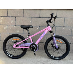 雷克斯成长100学生车18/20/22寸6789岁男女孩脚踏车单车自行车