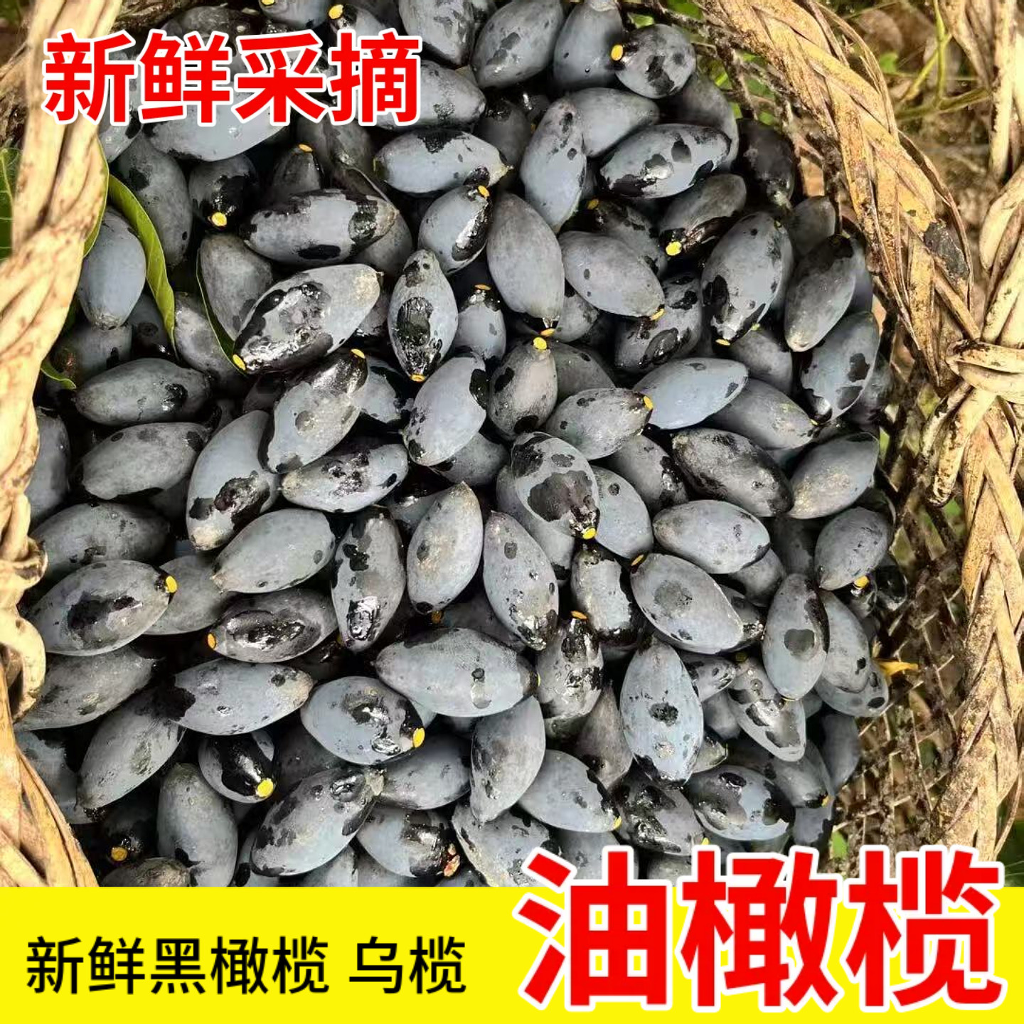 广西新鲜采摘油橄榄果农家特产