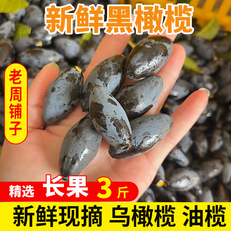 新鲜黑橄榄3斤长果农家特产现摘其它