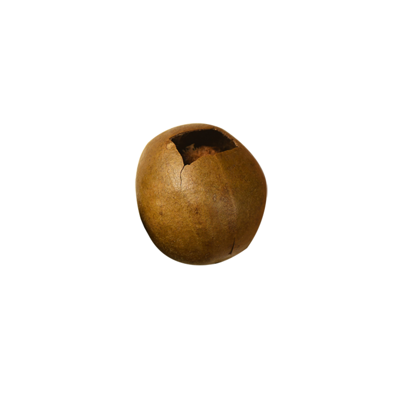 龙脊500g中大果好破果