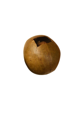 龙脊500g中大果好破果