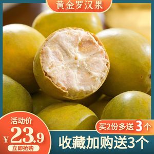 龙脊低温脱水罗汉果干果新鲜黄金大果桂林特产罗汉果茶小包装泡茶
