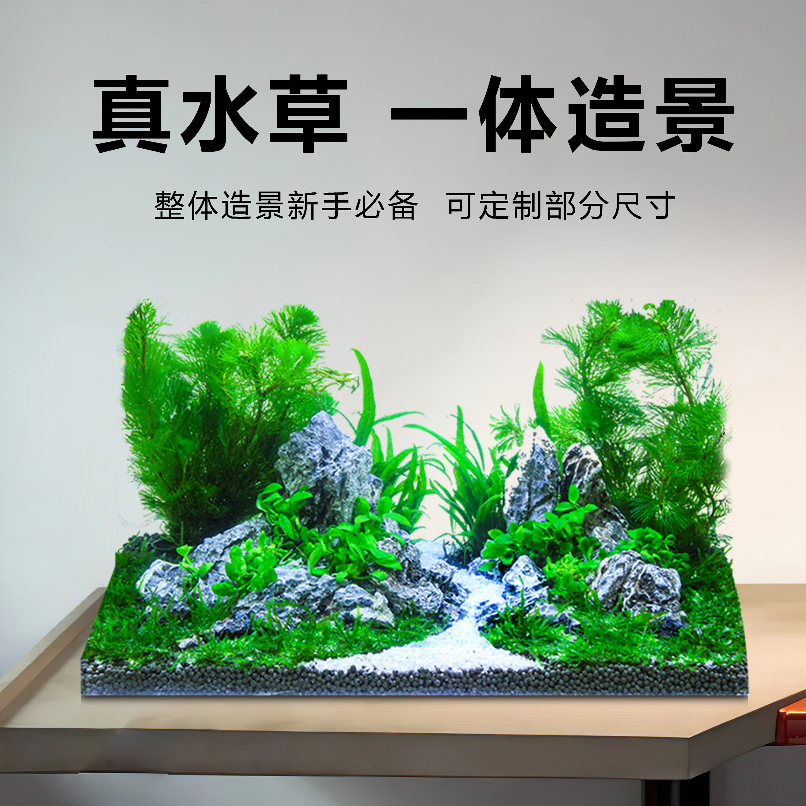 鱼缸造景真水草一体景莫斯树阴性水草整体入缸装饰套餐做好景发货,宠物/宠物食品及用品,造景/装饰,淘宝优惠券,粉丝福利购,淘宝优惠卷