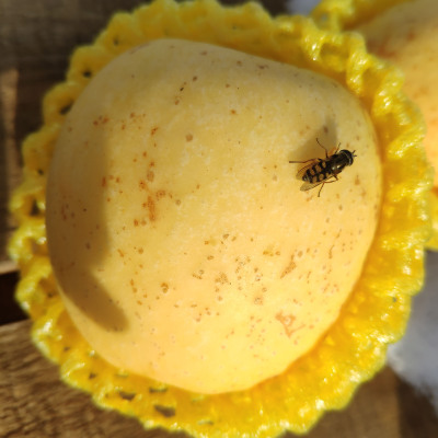 【昆嵛街】恒润优品烟台黄金维纳斯苹果新鲜脆甜70-90mm顺丰包邮