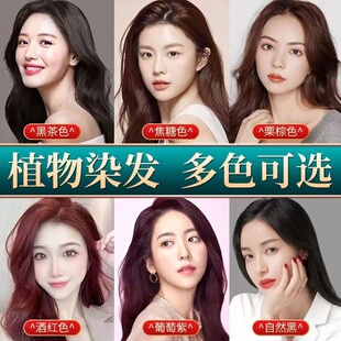 买二送一海维斯五倍子五贝子植物天然染发剂膏正品流行发色纯显白