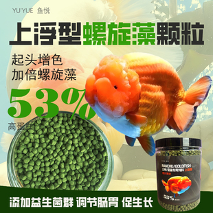 兰寿泰狮鱼专用高蛋白鱼饲料上浮型螺旋藻金鱼鱼粮鱼食 不浑水
