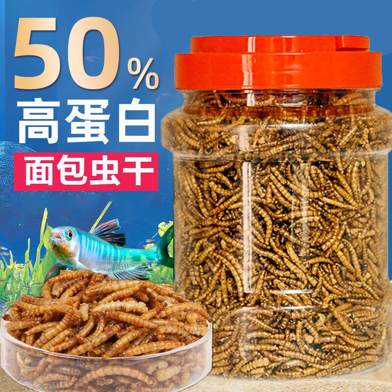新鲜面包虫干增色增艳鱼饲料图片