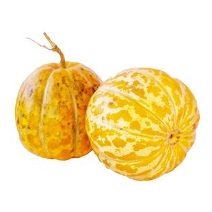 黄皮面瓜种子农田菜园嫩瓜花皮肉厚红肉红瓤甘面瓜香味浓甜瓜籽