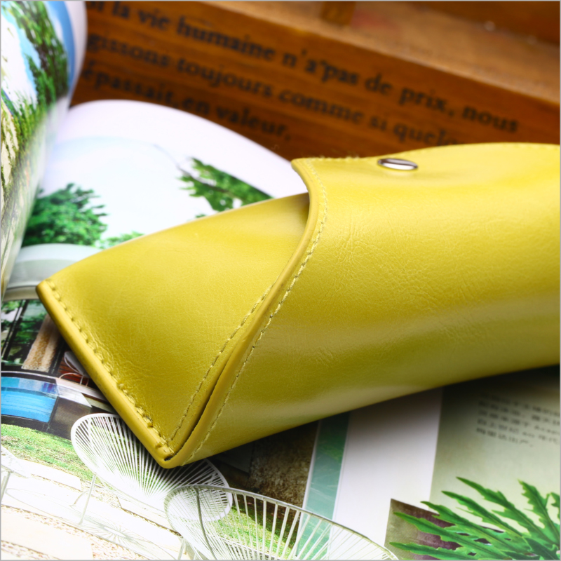 Etui à lunettes RAYDEM - Ref 1241332 Image 5