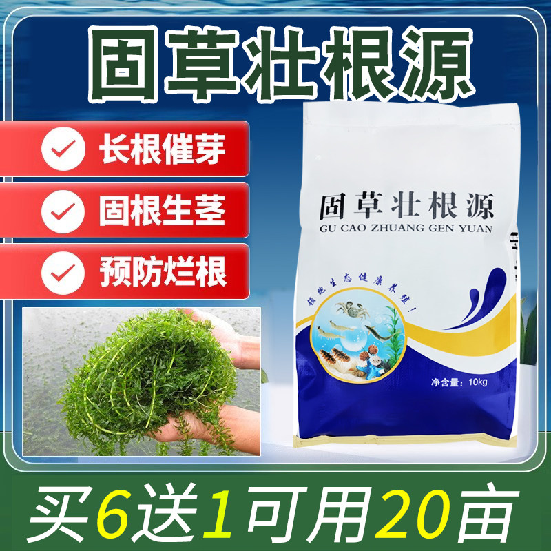 壮根护草宝水产养殖草力壮水草颗粒肥虾蟹塘肥水速活草高温保草图片