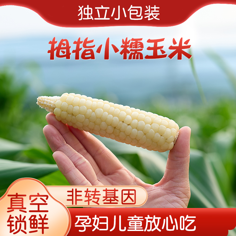 傣甜糯常温西双版纳拇指小玉米